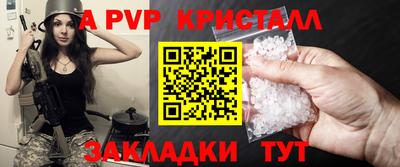 дмт Тара