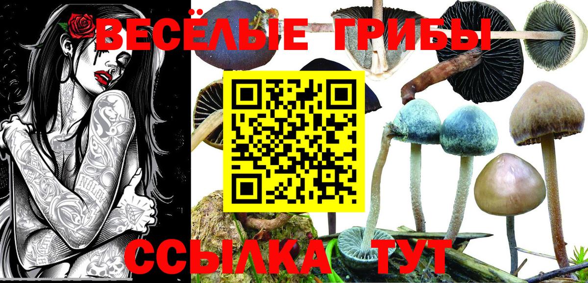 Галлюциногенные грибы MAGIC MUSHROOMS  Псилоцибиновые грибы мухоморы  Наро-Фоминск  купить наркотики цена  Вход с VPN 